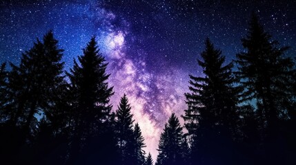 Naklejka premium Milky Way galaxy seen from a forest clearing, with tall trees silhouetted against the starry night sky