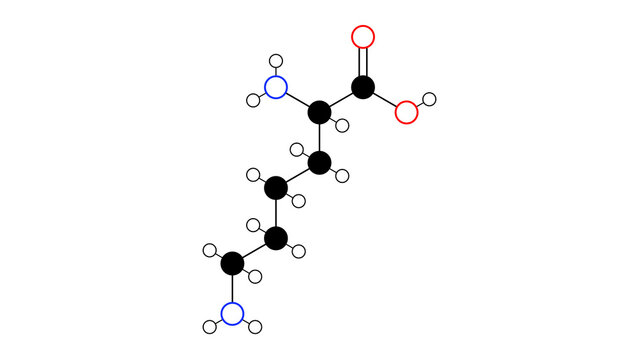 l-lysine molecule, structural chemical formula, ball-and-stick model, isolated image a-amino acid