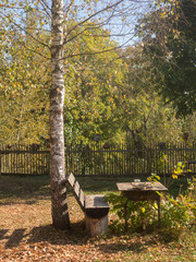 rural yard in autumn