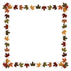 Autumn leaf frame design