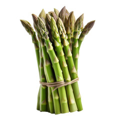Fresh green asparagus stalks