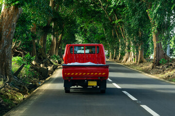 Red truck on the road aligned with trees on both sides of the road