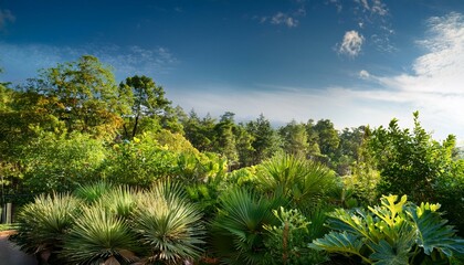 Vibrant natural landscape showcasing plants and foliage, set apart for greater focus