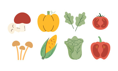 Flat Set Hand Drawn Healthy Food Illustration of Vegetables Vector Isolated on White Background