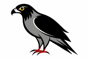 Fototapeta premium Creative vector design of African goshawk bird