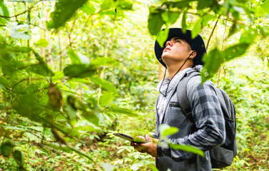  A professional biologist stands in the middle of the jungle, looking up at the treetops while holding a tablet he uses for his work. The biologist is dressed in outdoor fieldwork clothing