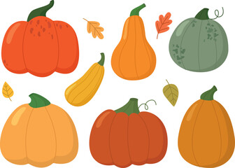 Set of hand drawn cute pumpkins. Illustration of different colors and shapes autumn vegetables
