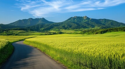 Fototapeta premium Green barley fields and a meandering road on Gapado Island, with panoramic views of Mt. Sanbang and Mt. Halla under the expansive Jejudo sky.