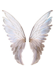 Obraz premium Delicate white wings