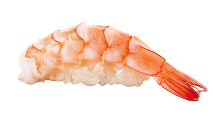 Close-Up of Fresh Shrimp Nigiri Sushi on White Background Isolated for Culinary and Food Photography