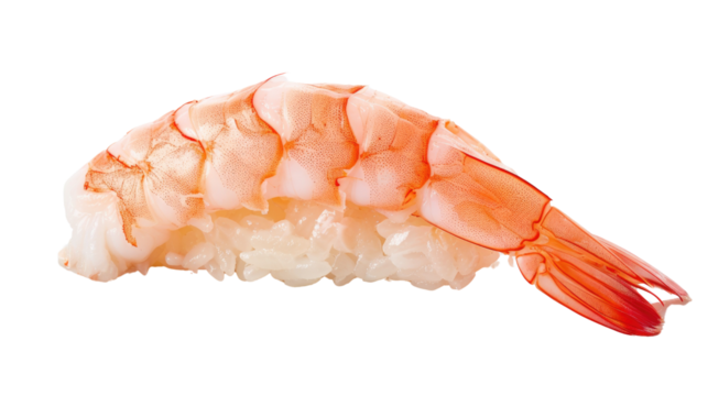 Close-Up of Fresh Shrimp Nigiri Sushi on White Background Isolated for Culinary and Food Photography