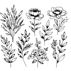 Botanical line bakground with flowers and leaves. Floral foliage for wedding invitation, wall art or card template 13 .ai