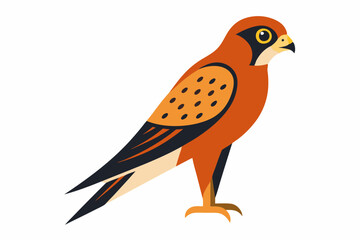 Fototapeta premium Simple kestrel bird vector design on a white background