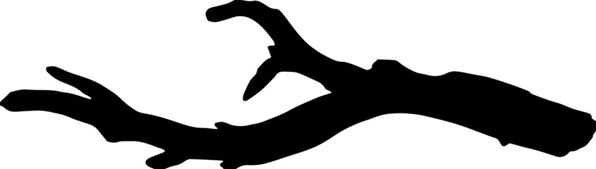 silhouette of a dead wood