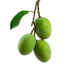 mango, food, juicy, ripe, white, green, leaf, fresh, fruit, organic