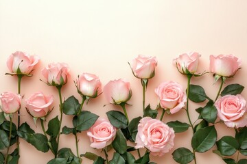 Pink Roses on a Peach Background