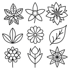 flowers and leaves line art decorative vector collection set silhouette