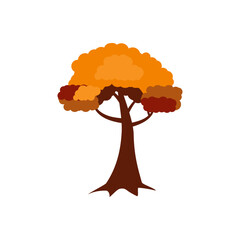 Autumn, cozy set Trees of leaves, and acorns. Vector illustration.