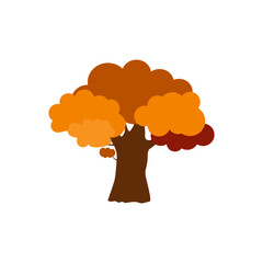 Autumn, cozy set Trees of leaves, and acorns. Vector illustration.