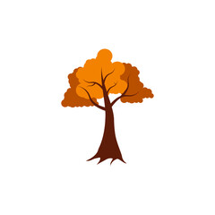 Autumn, cozy set Trees of leaves, and acorns. Vector illustration.