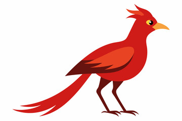 Fototapeta premium Vector design full body image of besra bird on white background