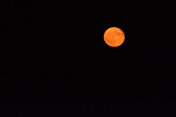 glowing red moon shining against a dark night sky