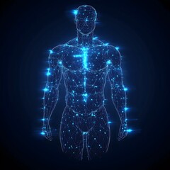 the human body by ultrasonography