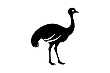 Fototapeta premium ostrich isolated on white
