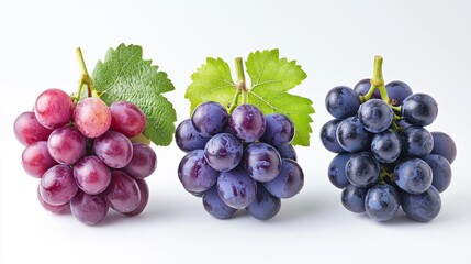 Fototapeta premium Close up of fresh and ripe grapes in different colors with leaves attached
