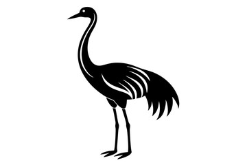 illustration of an ostrich