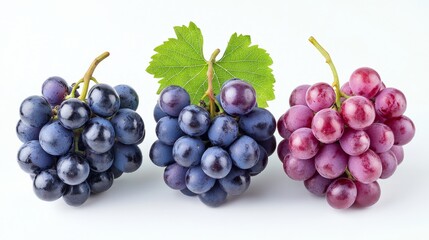 Fototapeta premium Close-up of fresh grapes in three colors with leaves isolated on white background