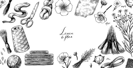Hand drawn Linen seed and Flax flower. Vector clipart illustration. Line and Ink sketch. Poster, banner in Vintage style. 