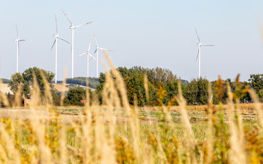 Windmill farm. Landscape in the countryside on a sunny day.