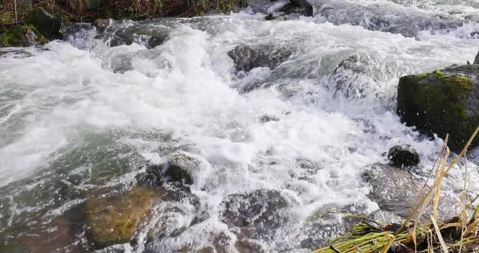 Wildwater splashing close up of river stream on stones 