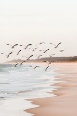 Tranquil Seagull Flight Elegant Birds Soaring Over Beach at Sunset - Minimalist Nature Scene with Soft Pastel Tones and Calm Serenity