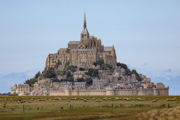 Le-Mont-Saint-Michel (Frankreich) - Traumhaft schön! - Mit Schafen im Vordergrund