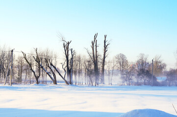 Winter frosty morning in the village