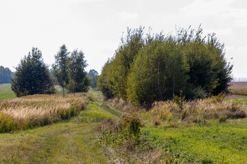  Landscape in the countryside on a sunny September day.
