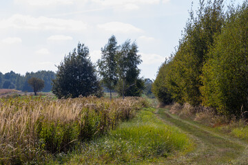  Landscape in the countryside on a sunny September day.