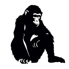 chimpanzee chimp  silhouette vector illustration  transparent background