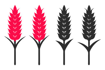 Wheat sign red icon vector