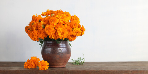 marigolds in a clay jug on the table, white background. banner.