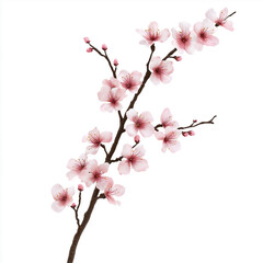 Obraz premium Cherry Blossom Branch for Spring