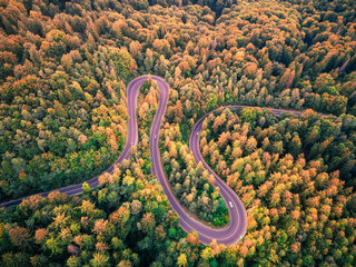 Aerial drone view of a winding mountain road in the Carpathians, cutting through dense forests and rugged terrain.