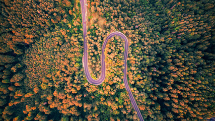 Aerial drone view of a winding mountain road in the Carpathians, cutting through dense forests and rugged terrain.