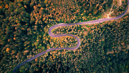 Aerial drone view of a winding mountain road in the Carpathians, cutting through dense forests and rugged terrain.