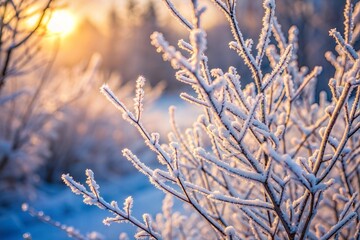 Frozen tree branch covered in frost at golden sunrise