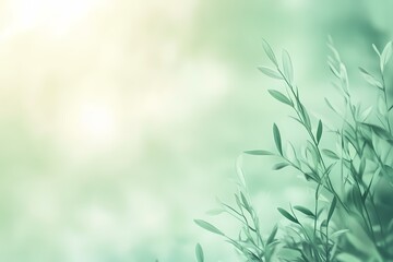 Obraz premium Soft Pastel Green Background for Calm Atmosphere