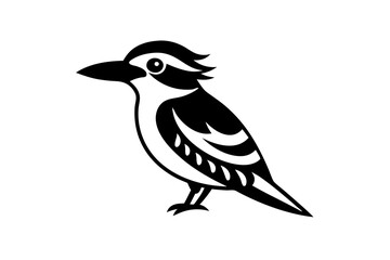 Vector design of the kookaburra bird on a white background