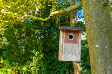 birdhouse is hanging from a tree branch